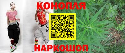 СК Обь